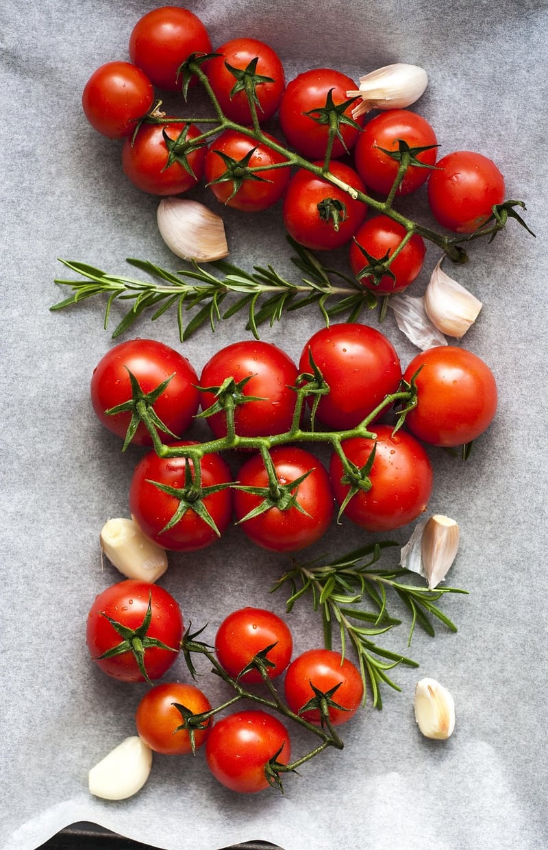 Rosemary herb plant
